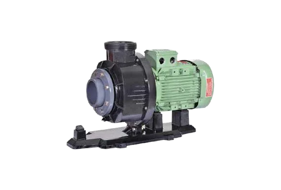 Pool Pumps